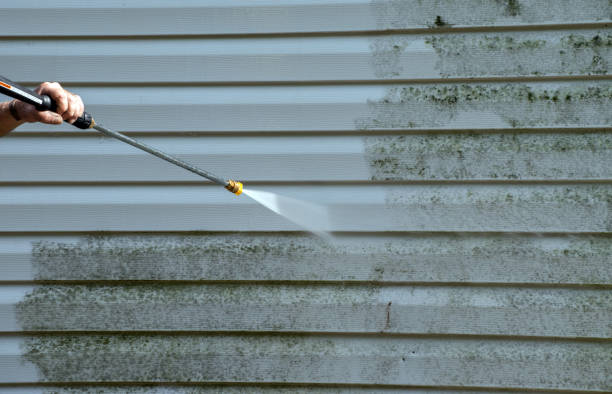 Best Roof Washing  in Maumelle, AR